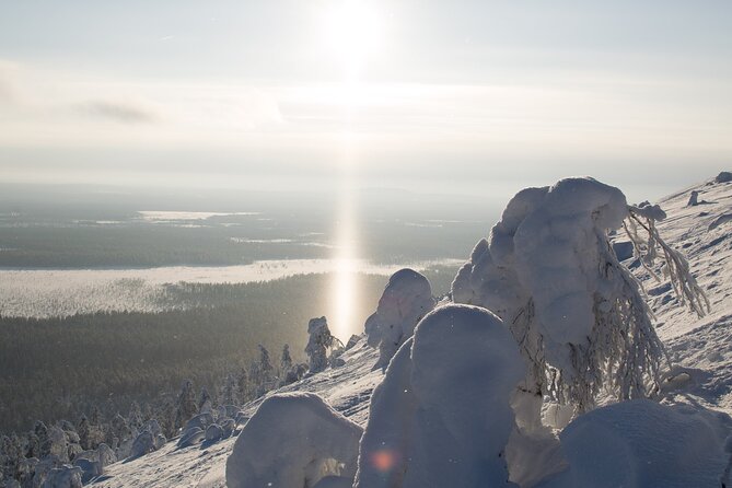 Scenic Snowshoeing on the Top of Pyhä Fell - Key Highlights You Should Know