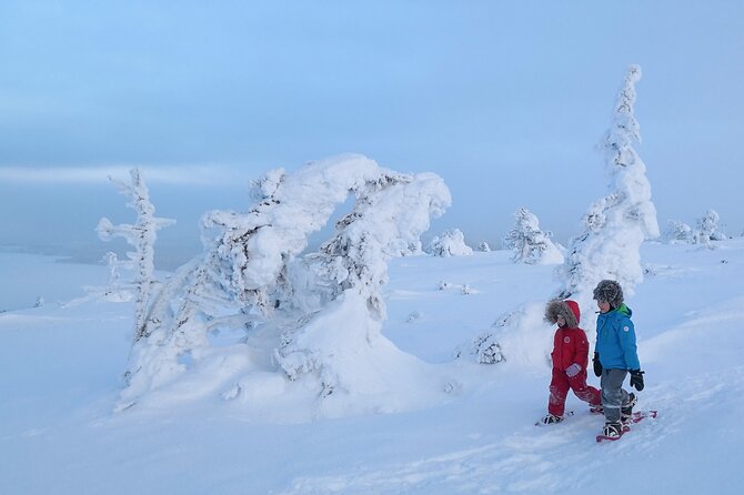 Scenic Snowshoeing on the Top of Pyhä Fell - Photographing Pyhä Fell: Snow Monsters, Halos, and Timing
