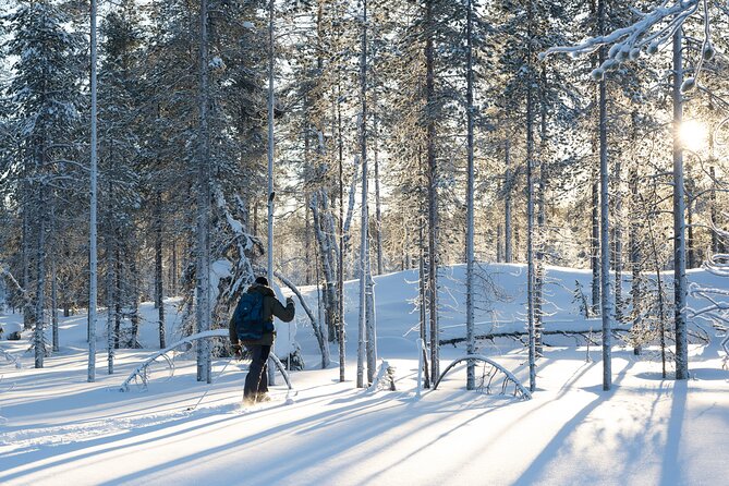 Ski Trek to the Wilderness - Extra Small group - Rovaniemi ski trekking, but with real Lapland distance