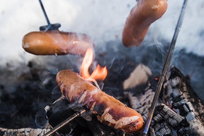 Ski Trekking Safari in Lapland - The 4-Hour Flow: Skiing, BBQ, and a Campfire Rhythm
