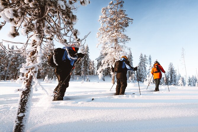 Ski Trekking Safari in Lapland - Backcountry Skiing for Beginners: What You Should Expect to Learn
