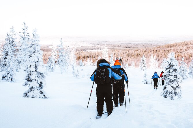 Ski Trekking Safari in Lapland - Price and Value: What You Actually Get for $131.32