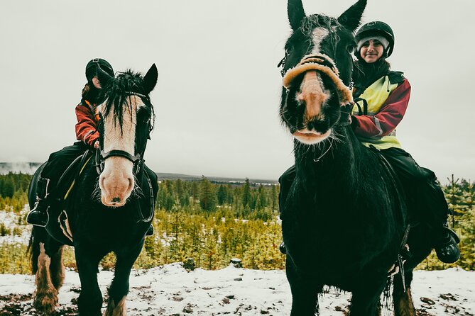 Small-Group Arctic Circle Horse Riding from Rovaniemi - What a 3-hour Arctic Circle horse ride feels like