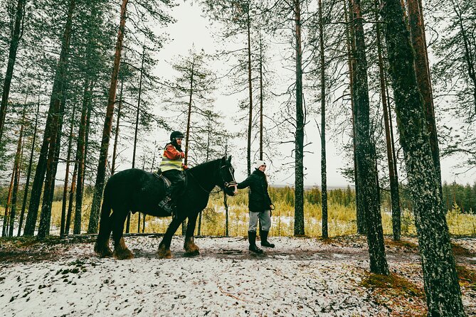 Small-Group Arctic Circle Horse Riding from Rovaniemi - The forest paths, and why they matter