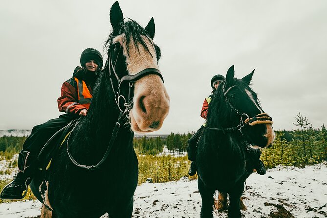Small-Group Arctic Circle Horse Riding from Rovaniemi - Guides, hot drinks, and making it feel like Lapland