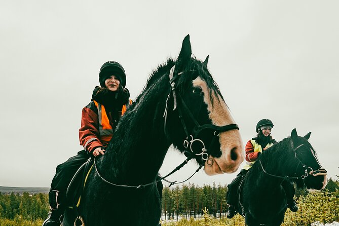 Small-Group Arctic Circle Horse Riding from Rovaniemi - Pickup, meeting point, and keeping your schedule sane