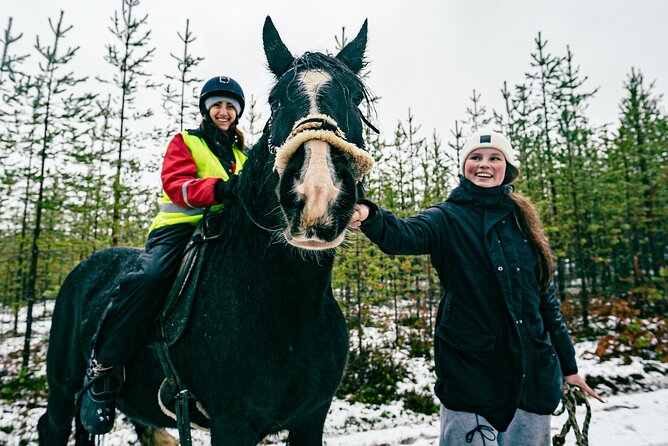 Small-Group Arctic Circle Horse Riding from Rovaniemi - Price and value: is $145 worth it?