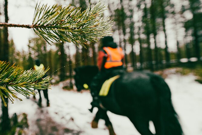Small-Group Arctic Circle Horse Riding from Rovaniemi - Welcome at the Arctic Circle Horse farm