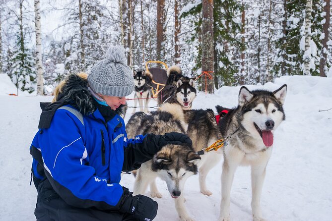 Small-Group Husky Mushing Experience in Rovaniemi - From Your Rovaniemi Hotel to the Kennel: The 4.5-Hour Flow