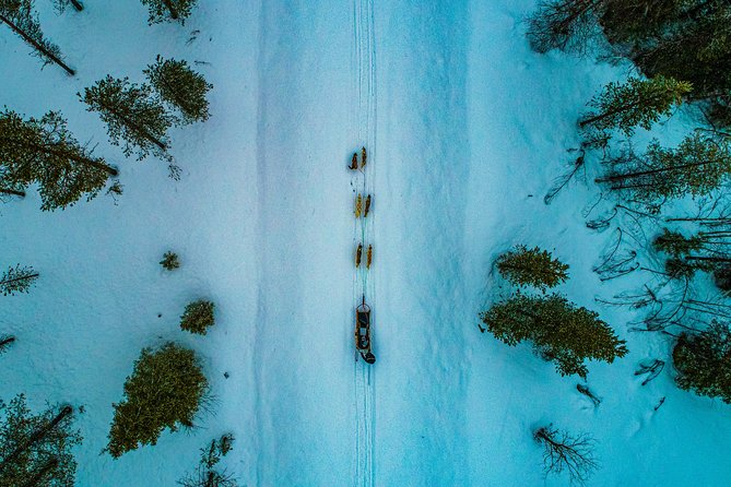 Small-Group Husky Mushing Experience in Rovaniemi - Safety and Guide Control on the Trail