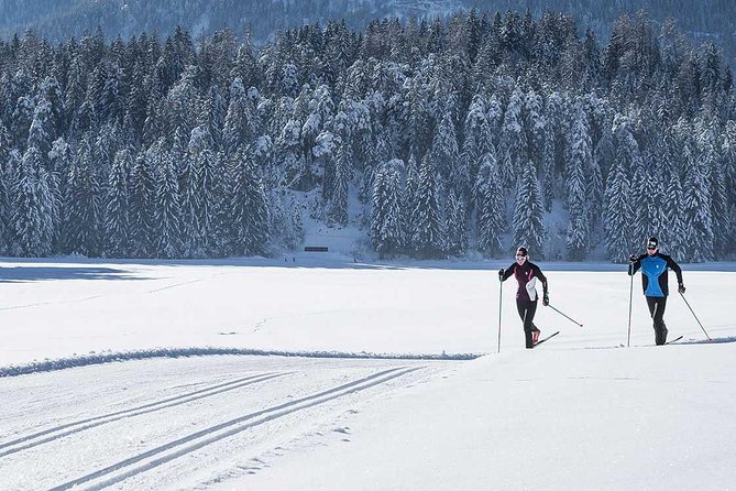 Small-Group Lapland Cross Country Ski - The Guided Flow: How the Instructor Helps You Enjoy It