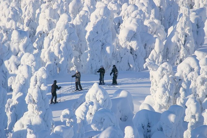 Small-Group Lapland Cross Country Ski - Timing That Changes With the Season: Plan Your Afternoon Around the Email