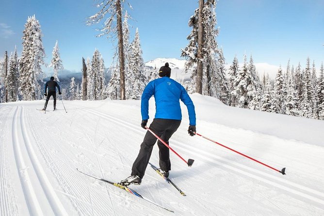 Small-Group Lapland Cross Country Ski - The Gear Moment: Overalls, Gloves, and Ski Equipment Included