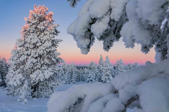 Small-Group Snowshoeing Adventure In Lapland - On the Trail: What the Snowshoe Walk Looks Like