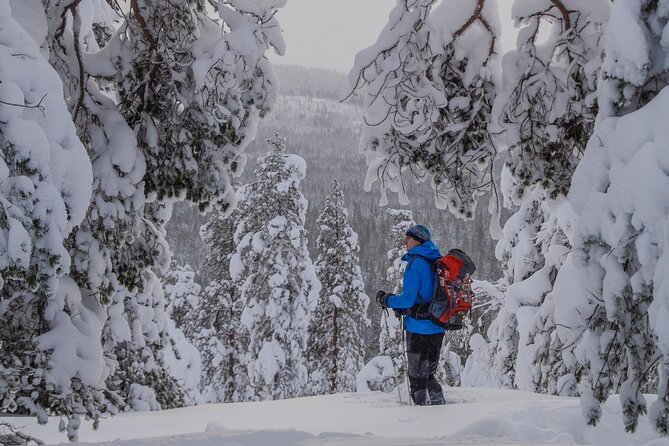 Small-Group Snowshoeing Adventure In Lapland - The Warm Up: Coffee, Tea, Snacks, and Small-Group Comfort