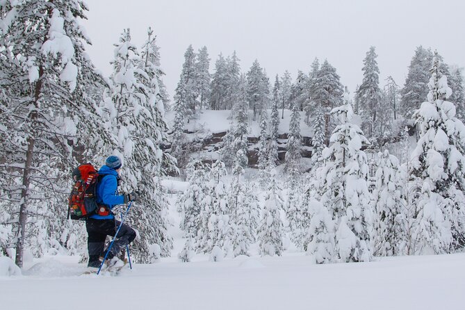 Small-Group Snowshoeing Adventure In Lapland - Price and Value: Getting Gear, Transport, and Guide Time for $104
