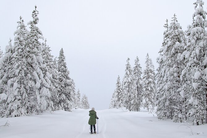 Small-Group Snowshoeing Adventure In Lapland - Weather Reality: When Conditions Change, You Still Have a Chance