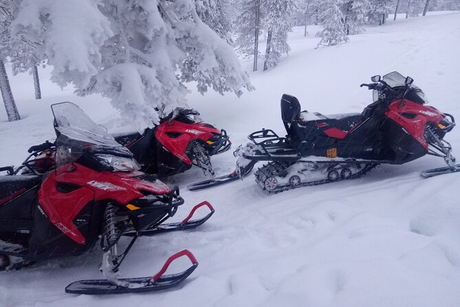 Snowmobile and Ice Fishing Excursion (private tour) - Snowmobile time: safety first, then frozen river and forest riding