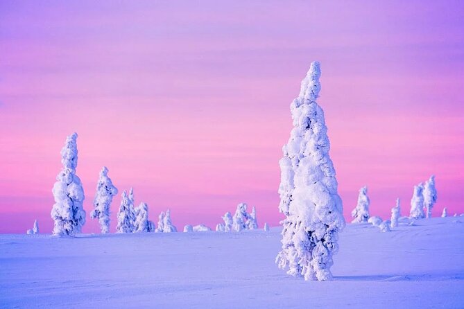 Snowmobile and Ice Fishing Experience - Bonfire warmth and Lappish barbecue: salmon lunch that actually hits the spot