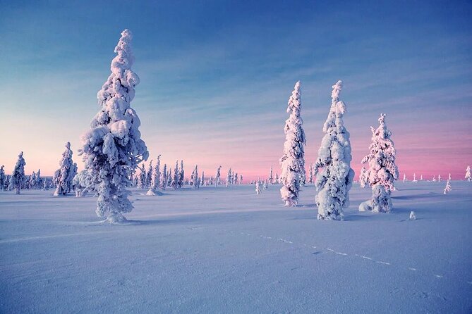 Snowmobile and Ice Fishing Experience - Price and value: what $240.15 buys you in Lapland conditions