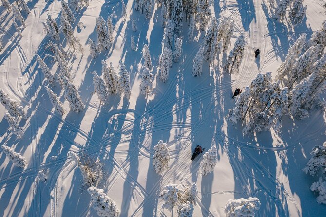 Snowmobile & Animals Day Tour - Quick hits you should know before you go