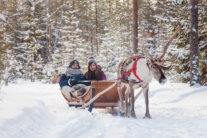Snowmobile & Animals Day Tour - Gear, warm drinks, and the small comfort wins in winter