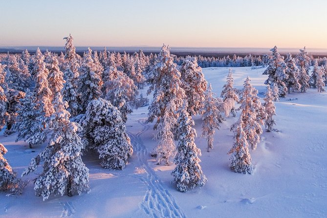 Snowmobile Driving - Morning start - Trails in Winter: Snowy Forests and Hard-To-Reach Terrain