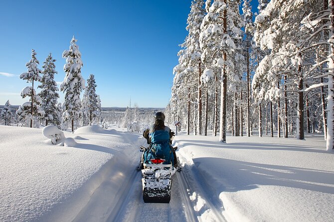 Snowmobile Safari 2h - Entering the Frozen River: What the Start Feels Like