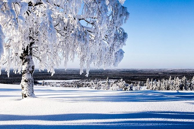 Snowmobile Safari in the Forest - From Kemi pickup to Kätkävaara Mountain: how the day starts right