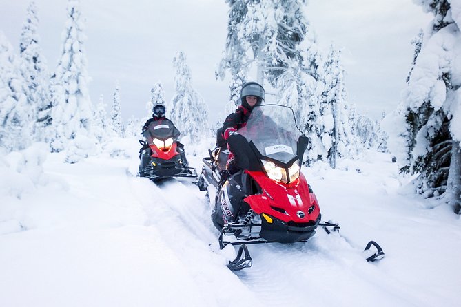 Snowmobile Safari in the Forest - Price and value: what $264.72 buys you in Lapland