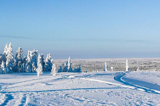 Snowmobile Safari in the Forest - Who this snowmobile safari suits best
