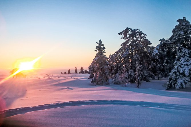 Snowmobile Safari in the Nature - Who Should Book This Safari (and Who Might Pass)