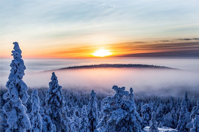 Snowmobile Safari in the Nature - Morning start - The feel of a Lapland morning snowmobile safari