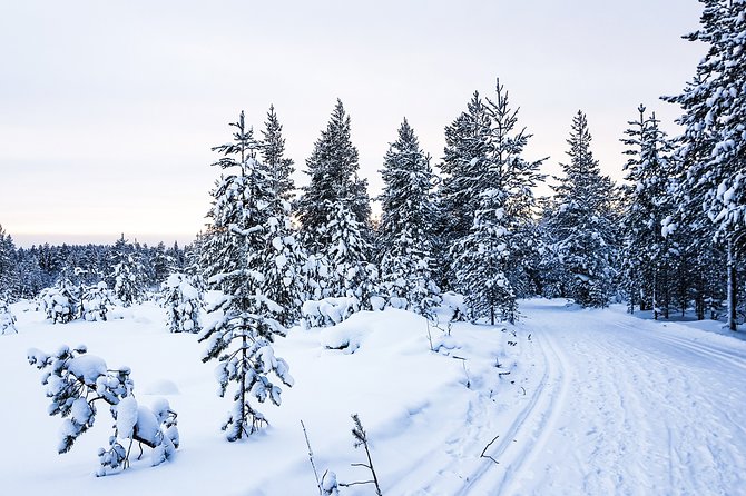 Snowmobile Safari in the Nature - Morning start - Gear included: the comfort upgrade that makes or breaks winter fun