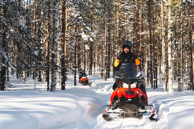 Snowmobile Safari into the Arctic Circle Forest - Meet at Wild Nordic, Get Fitted, Then Get Moving