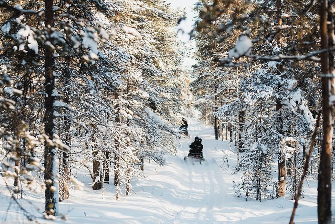 Snowmobile Safari into the Arctic Circle Forest - The Ride Itinerary: From Instructions to Forest Trails and Photo Stops