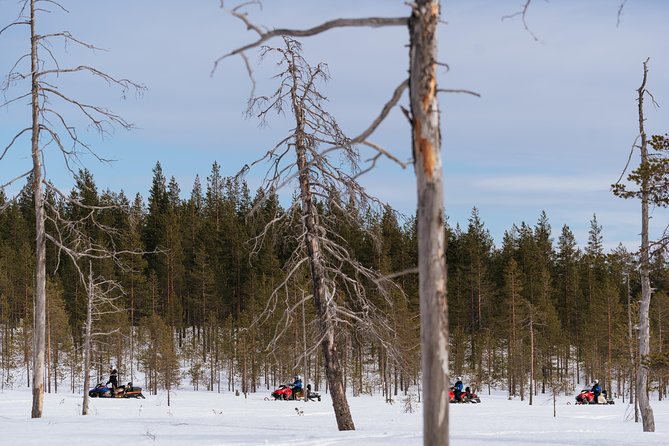 Snowmobile Safari into the Wilderness, Apukka Resort Rovaniemi - Snowmobile Safari From Apukka, why it works in winter