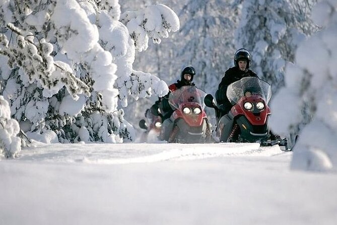 Snowmobile Safari through Lappish Forest from Rovaniemi - Key highlights and what you’ll notice fast