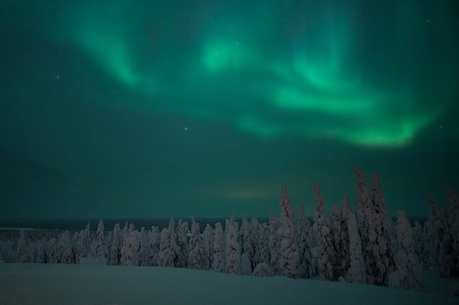 Snowmobile Safari to Search for the Northern Lights - Stop 1 at Wild Nordic Rovaniemi: photo breaks, scenery stops, and the warm-reset moment