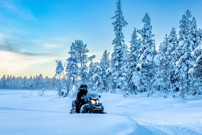 Snowmobile Tour with Small Group in Remote Wilderness 3 Hours - Key Highlights at a Glance