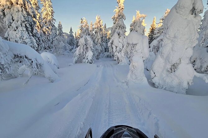 Snowmobile Tour with Small Group in Remote Wilderness 3 Hours - Photo Stops and Snack Breaks, the Two Things You’ll Really Thank Them For