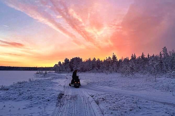 Snowmobile Tour with Small Group in Remote Wilderness 3 Hours - Price and Value: Is $222.27 for 3 Hours Reasonable?