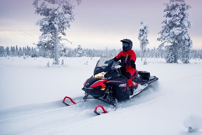 Snowmobile Tour with Small Group in Remote Wilderness 3 Hours - Safety Briefing First, Then a Ride Tuned to Your Level