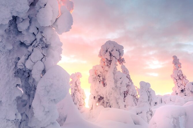 Snowmobile Tours in Rovaniemi Lapland - Key highlights at a glance