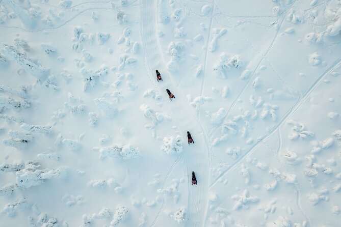 Snowmobiling Quick Spin - 2 h snowmobile experience in Rovaniemi - Key things I’d plan around before you go