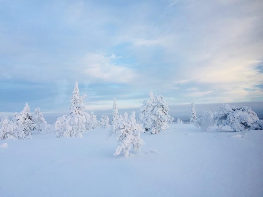 Snowshoe experience with traditional beverages in Lapland - Open-Fire Break: Hot Berry Juice, Cheese, and Sausages
