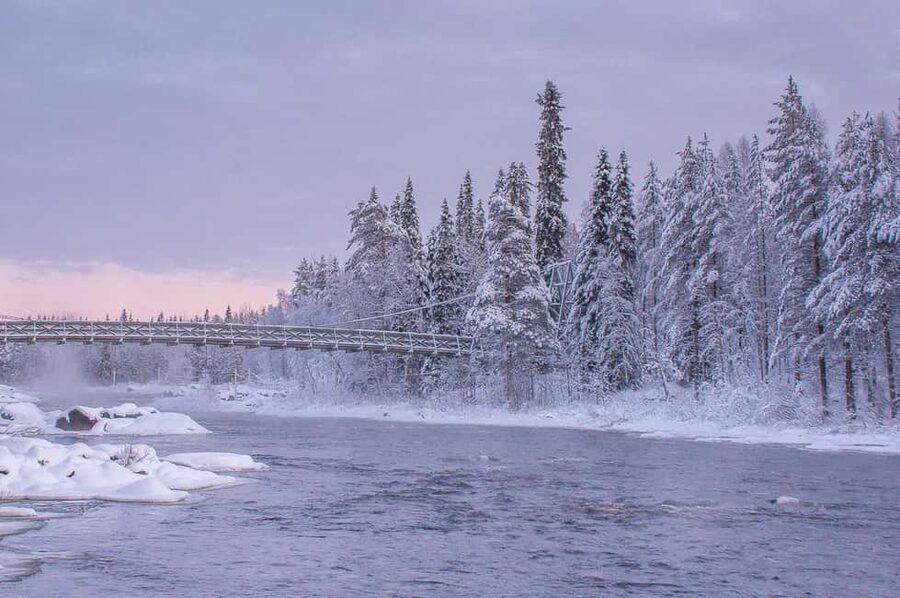 Snowshoe experience with traditional beverages in Lapland - Duration and Real-Time Expectations in a 3-Hour Tour
