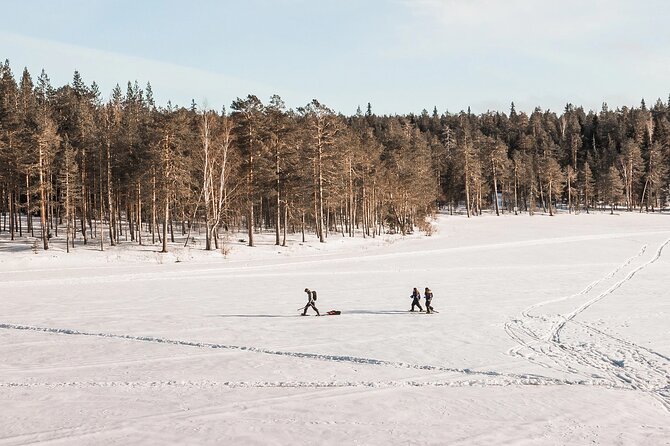 Snowshoe Trip in the Wilderness - Animal Tracking and Wildlife-Friendly Walking That Actually Teaches