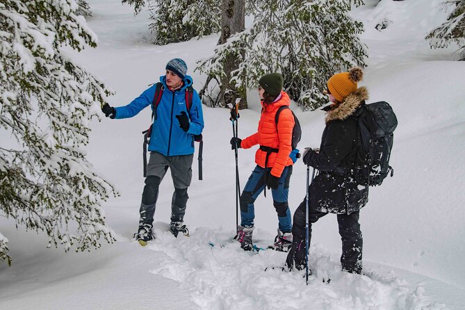 Snowshoeing Adventure with Ice-Fishing, Fire and Survival - Timing and the Weather Reality in Rovaniemi