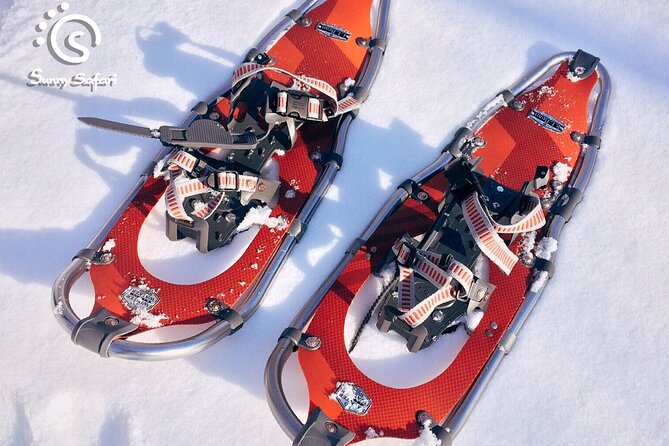Snowshoeing in Lapland Wilderness - What you learn about Lapland in a short time